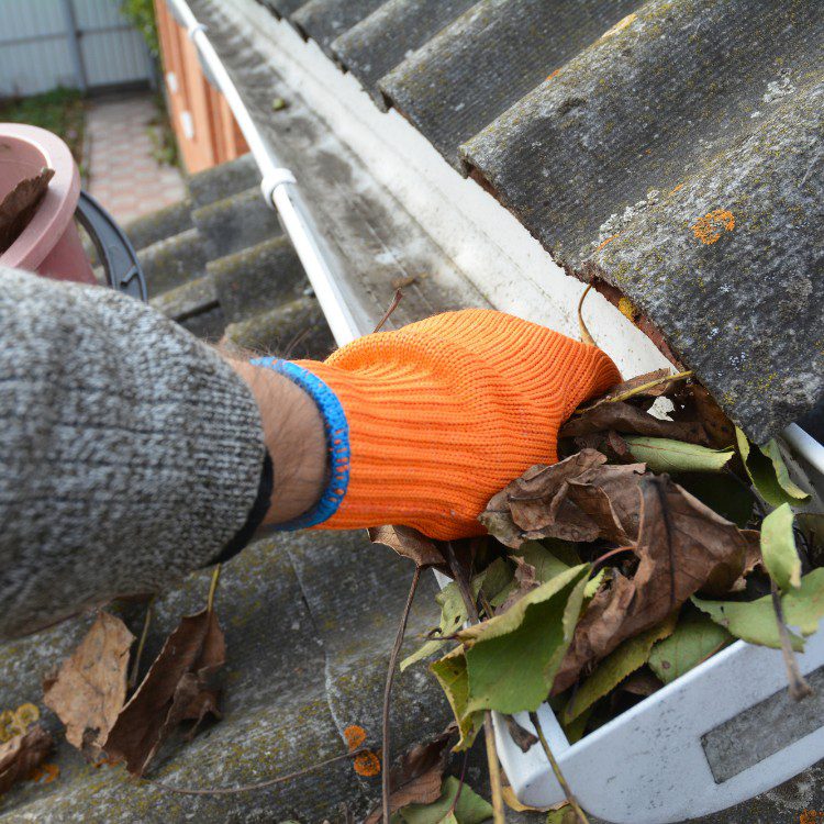 Cleaning services in Twin Cities Metro Area, MN Cleaning services in Twin Cities Metro Area, MN
