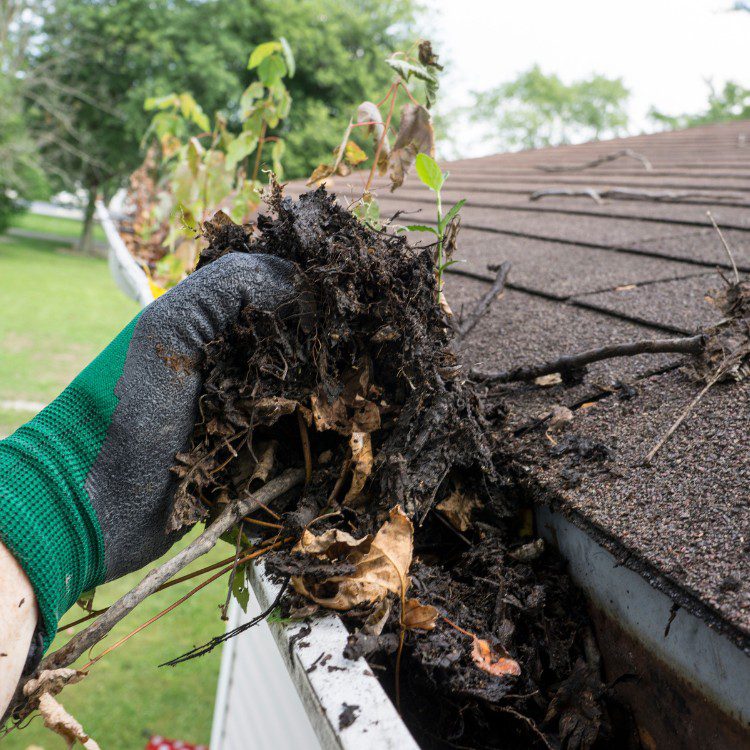 Cleaning services in Twin Cities Metro Area, MN Cleaning services in Twin Cities Metro Area, MN